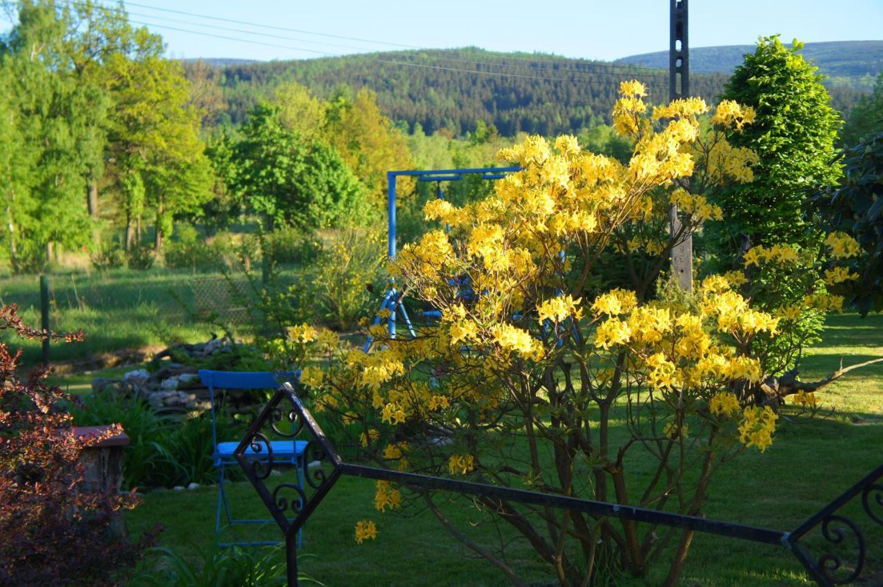 Apartamento Dom na Przedgórzu Świeradów-Zdrój Exterior foto